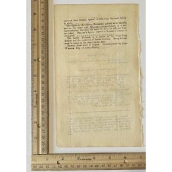 Indian Turnsole or Heliotrope - Curtis's Botanical Mag. 1815 / 1816 Print #1837 - Picture 4 of 4